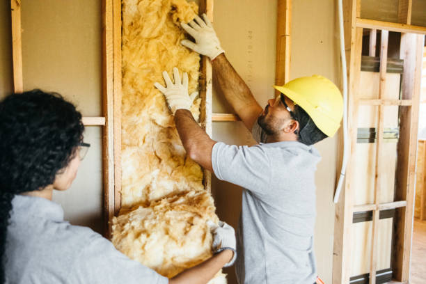 Reliable Black River Falls, WI Insulation Contractor Solutions