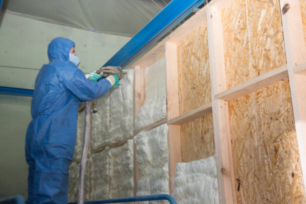 Best Crawl Space Insulation  in Black River Falls, WI